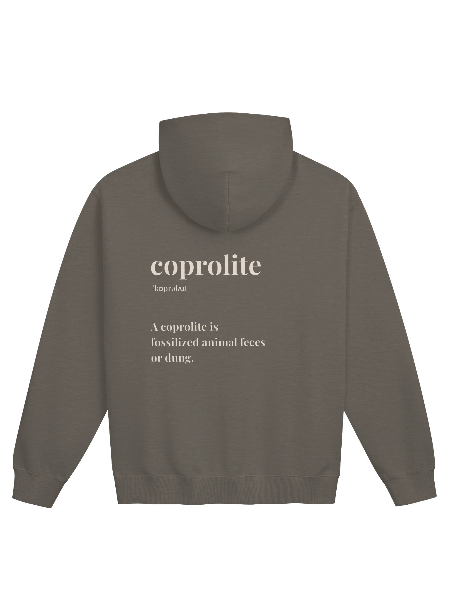 Coprolite Faded Oversized Hoodie product image (2)