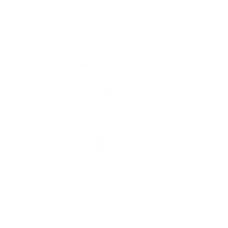 VIGILANT