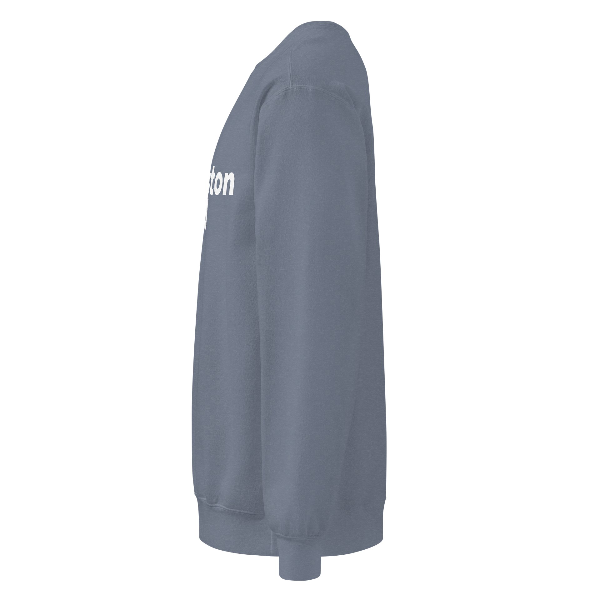 charleston dad sweatshirt product image (37)