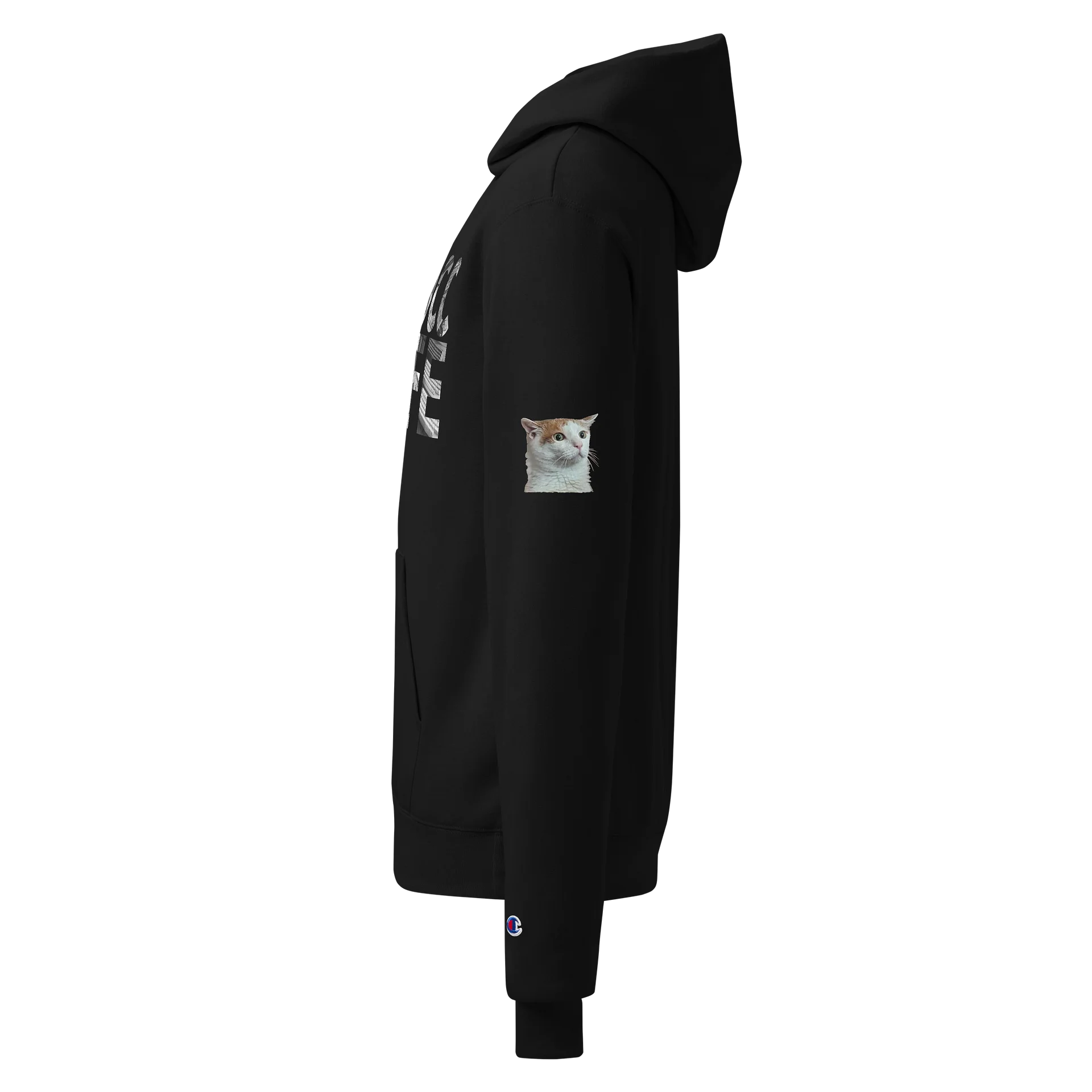 Copy of Thocc life fancy (champion) hoodie product image (3)