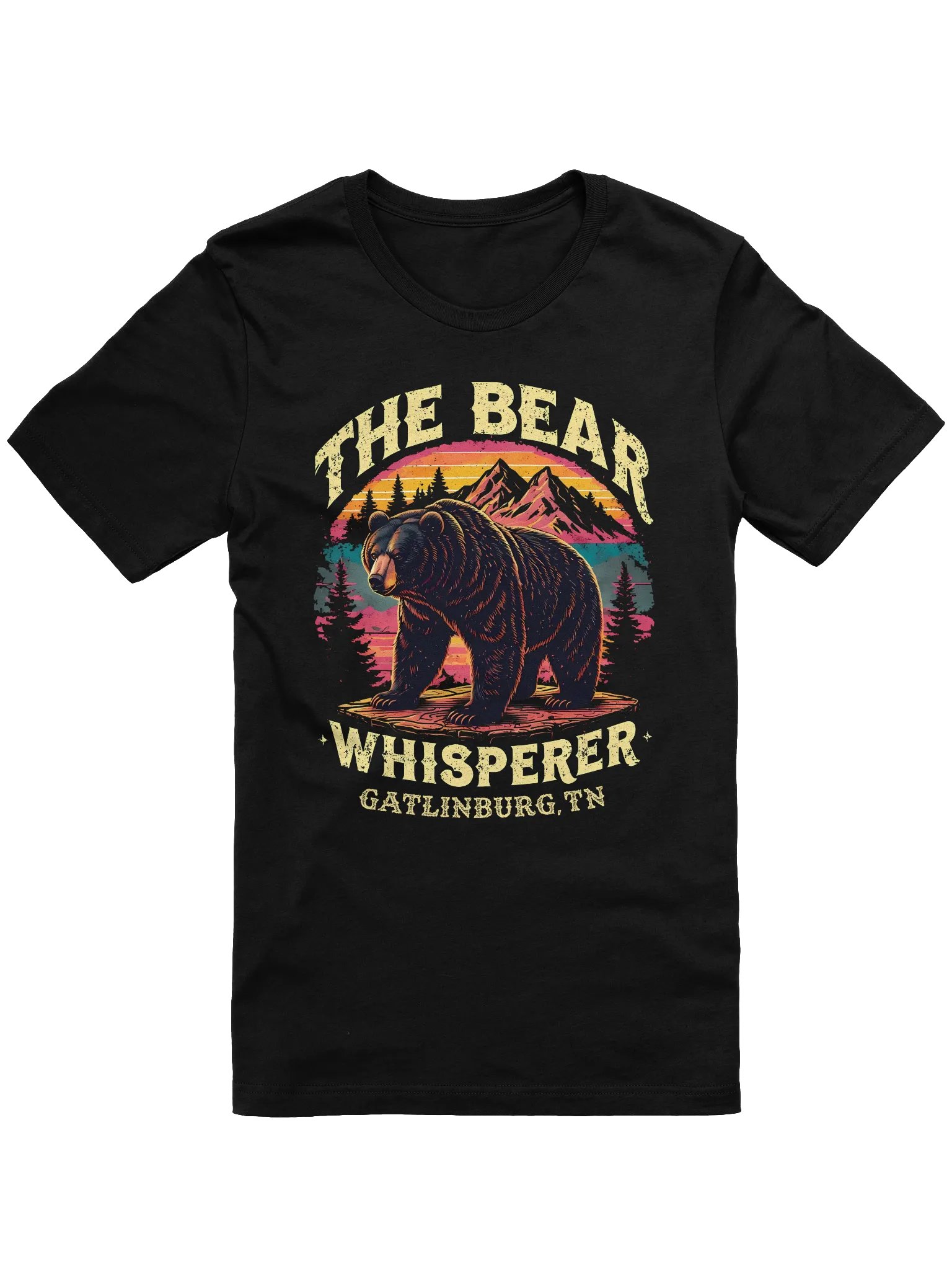 Bear Whisperer Gatlinburg, TN Vintage Tee product image (3)