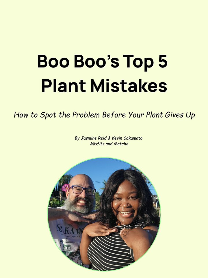 Boo Boo's Top Five Plant Mistakes product image (1)