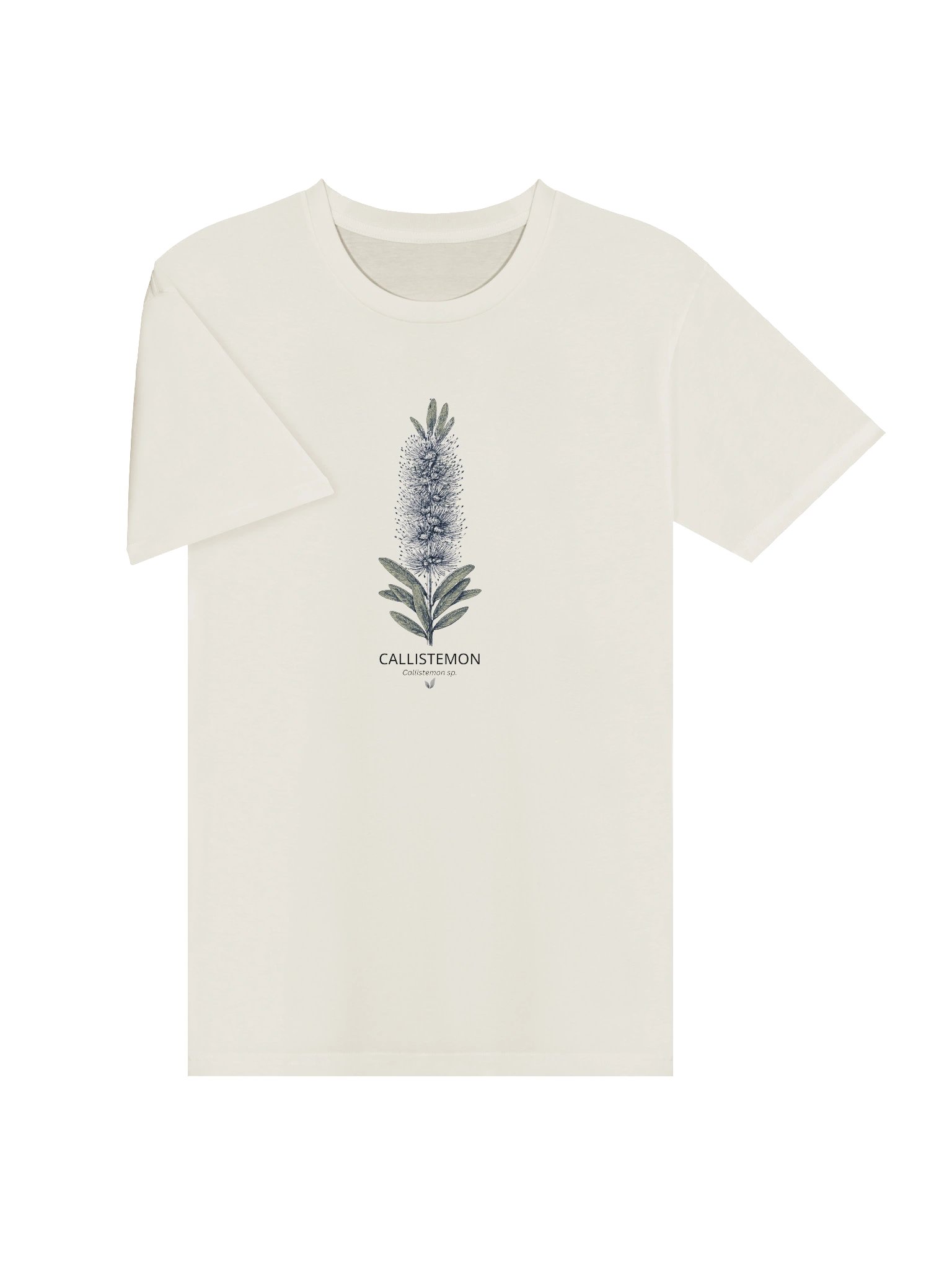 Callistemon Botanical Tshirt product image (3)