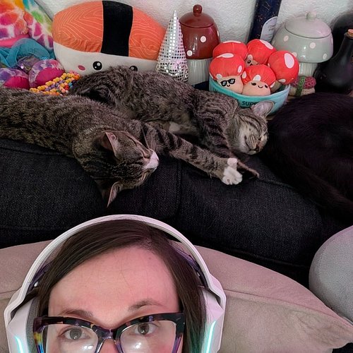Sushi's Streamerversary is live! Come celebrate Sushi and 3 years of kitten and gaming chaos. 

https://twitch.tv/acosmicsushi