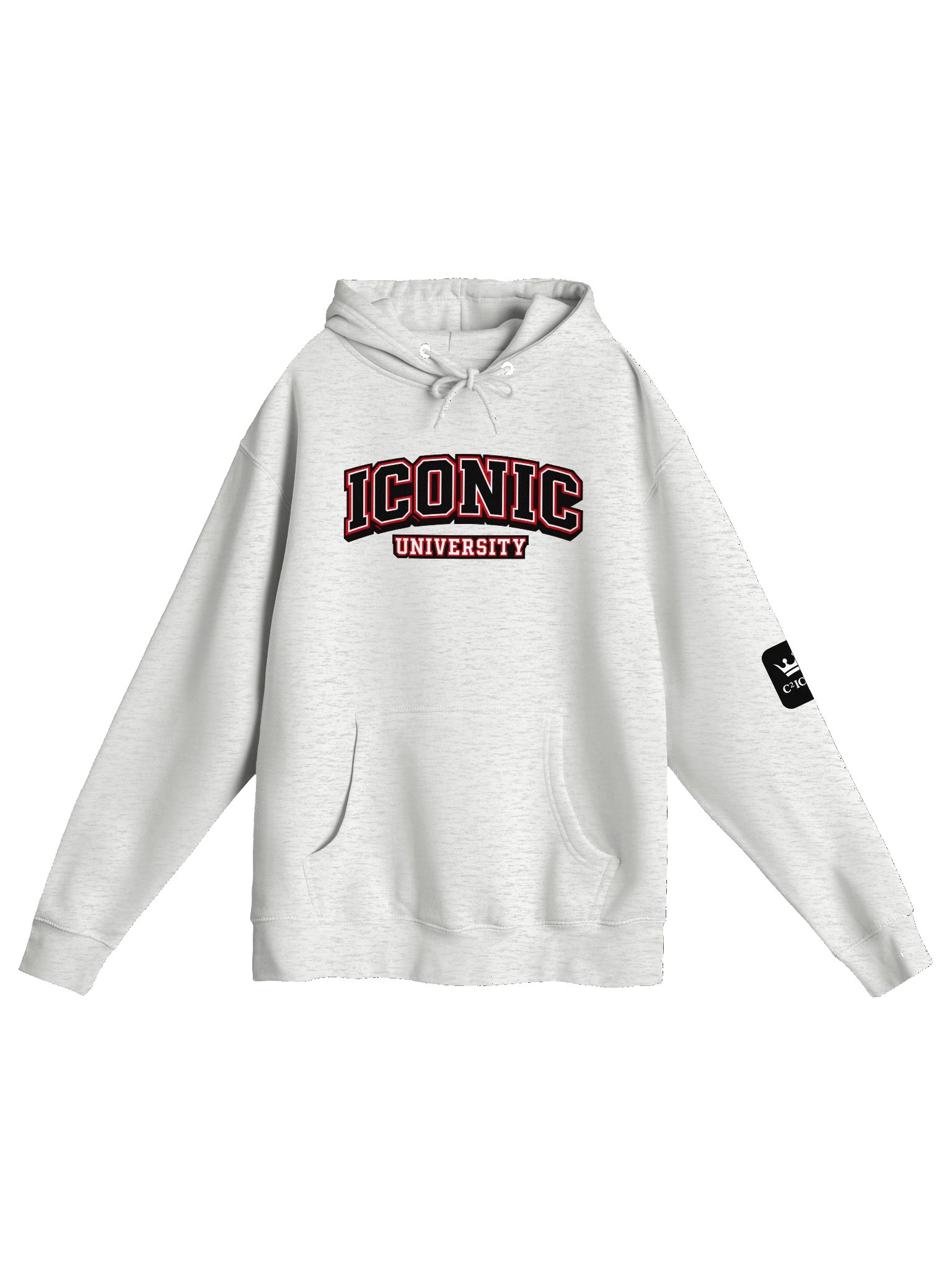 ICONIC University Pullover Hoodie product image (13)