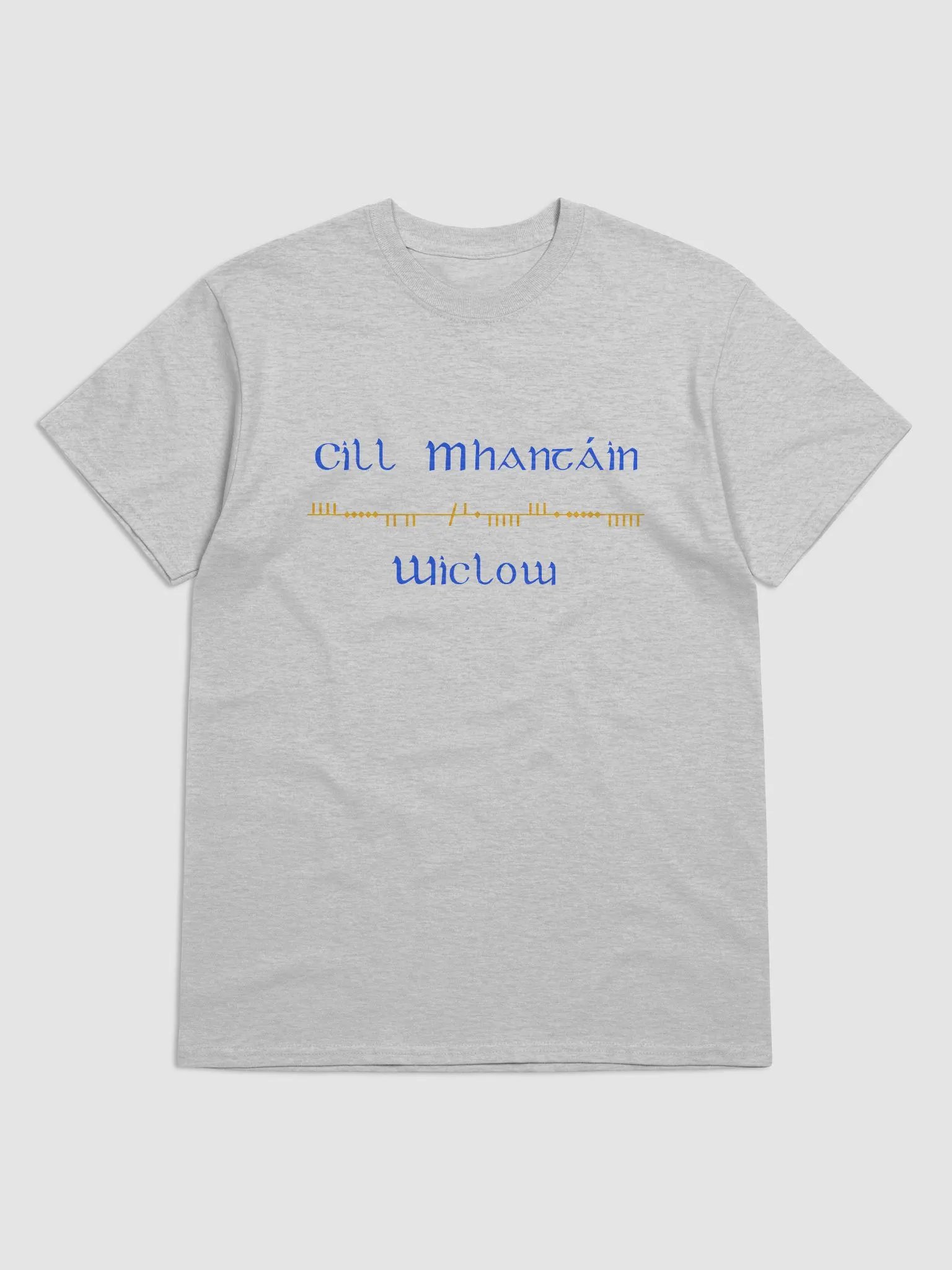 Wicklow/Cill Mhantáin Scholastic style Ogham printed T-shirt product image (61)