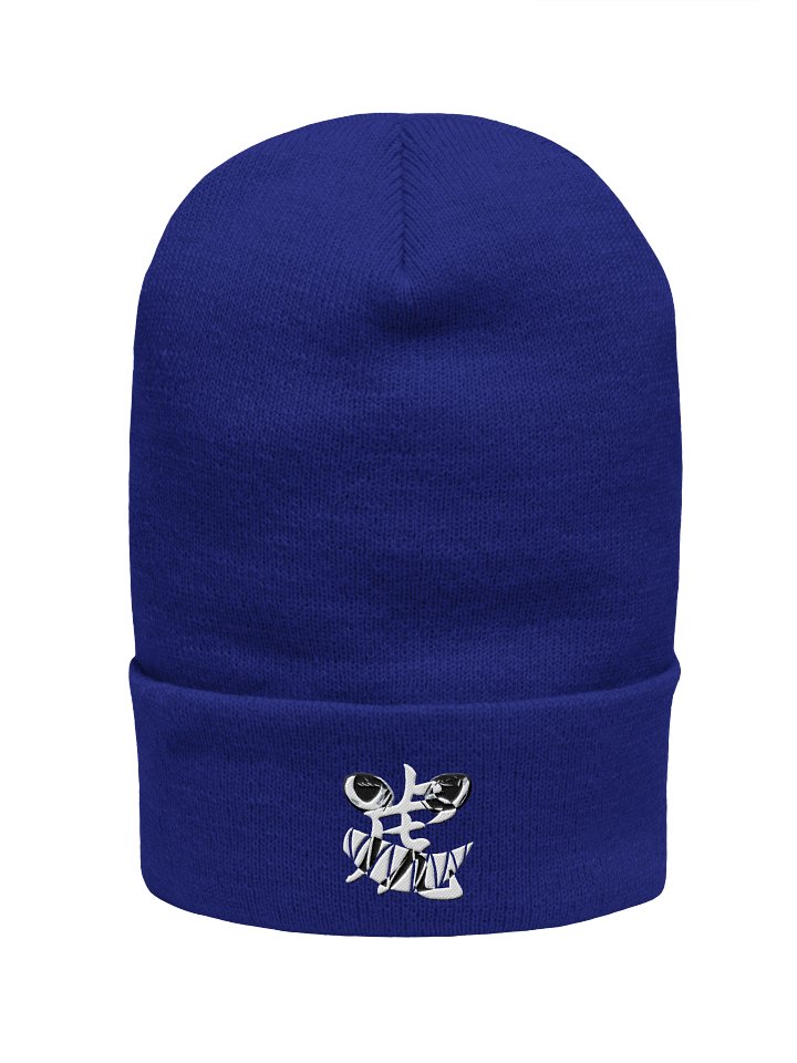 Classic Embroidered Beanie product image (1)