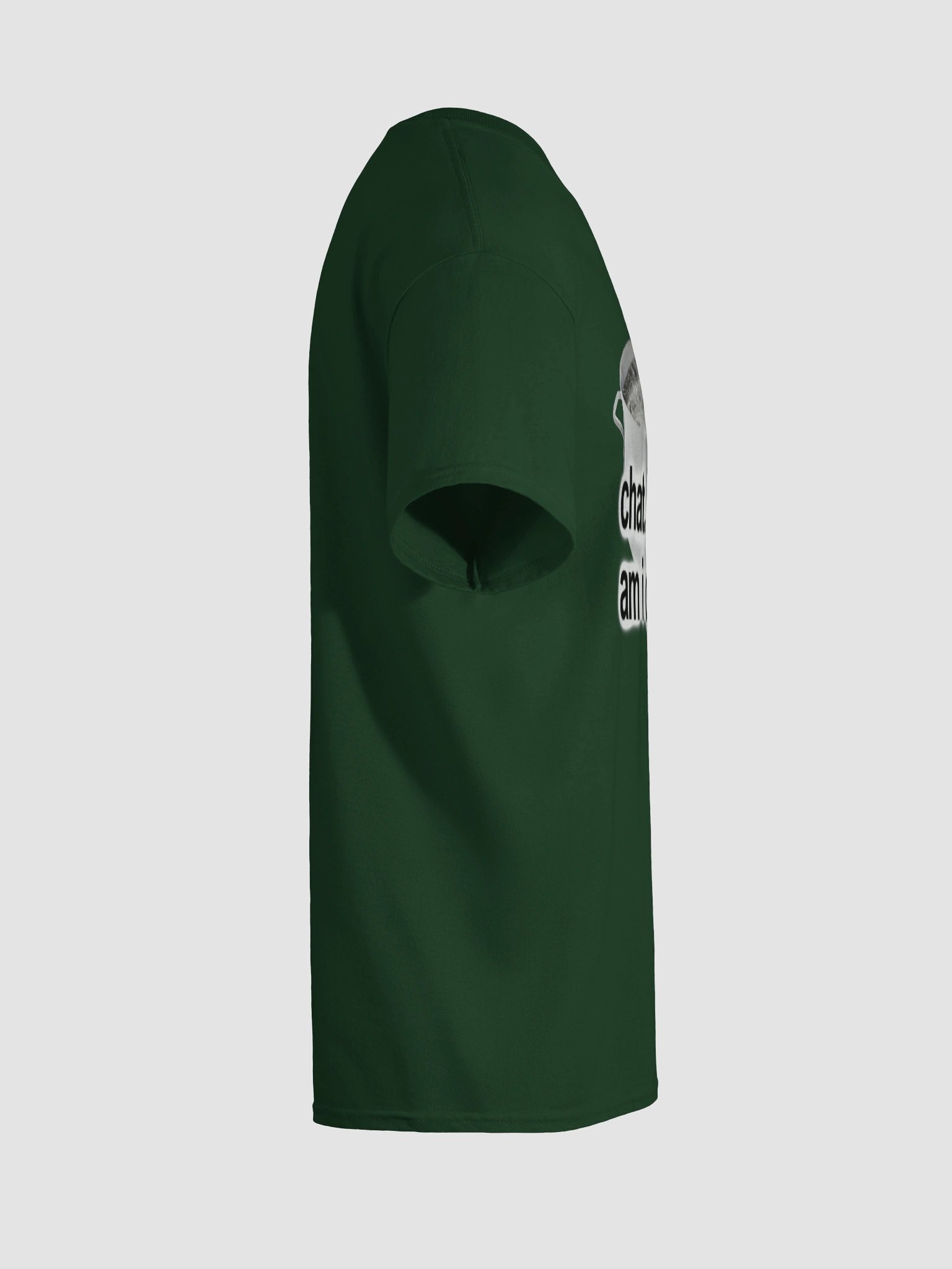 Chat Am I Cooked Frog T-shirt product image (12)