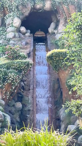 Big drop, bigger yes!

🌊

#catholic #catholicism #catholicchurch #catholicyoungadults #disneyland