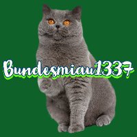 Bundesmiau1337