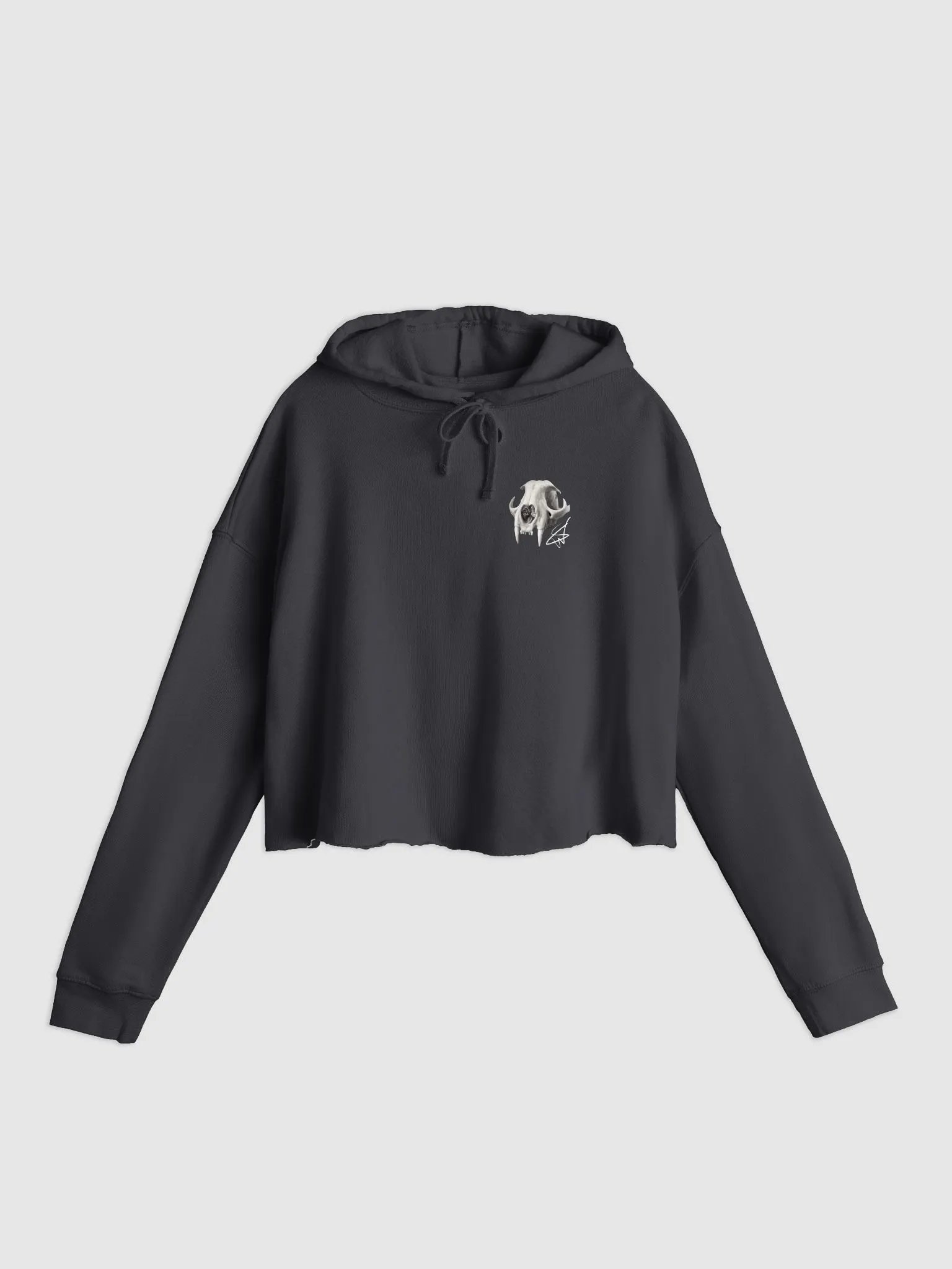 Hierarchy Cropped Hoodie product image (2)