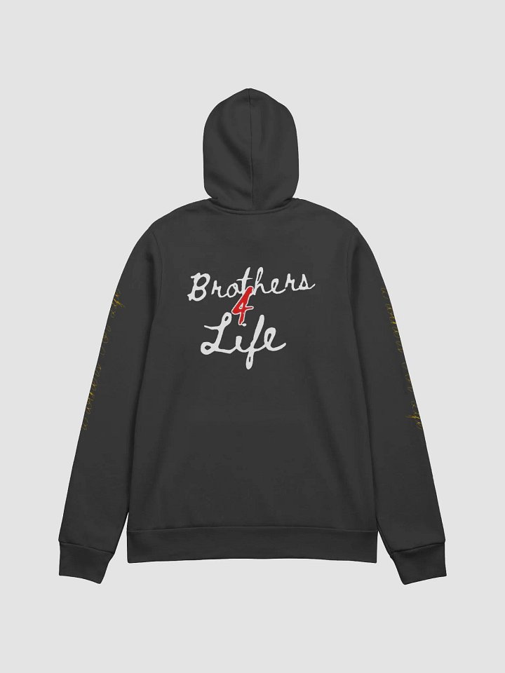 BFL Colored Hoodie product image (6)