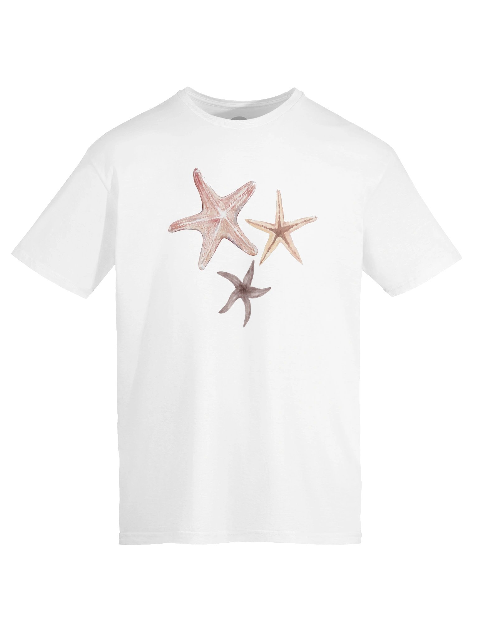 Basics | Starfishes from Varadero product image (9)
