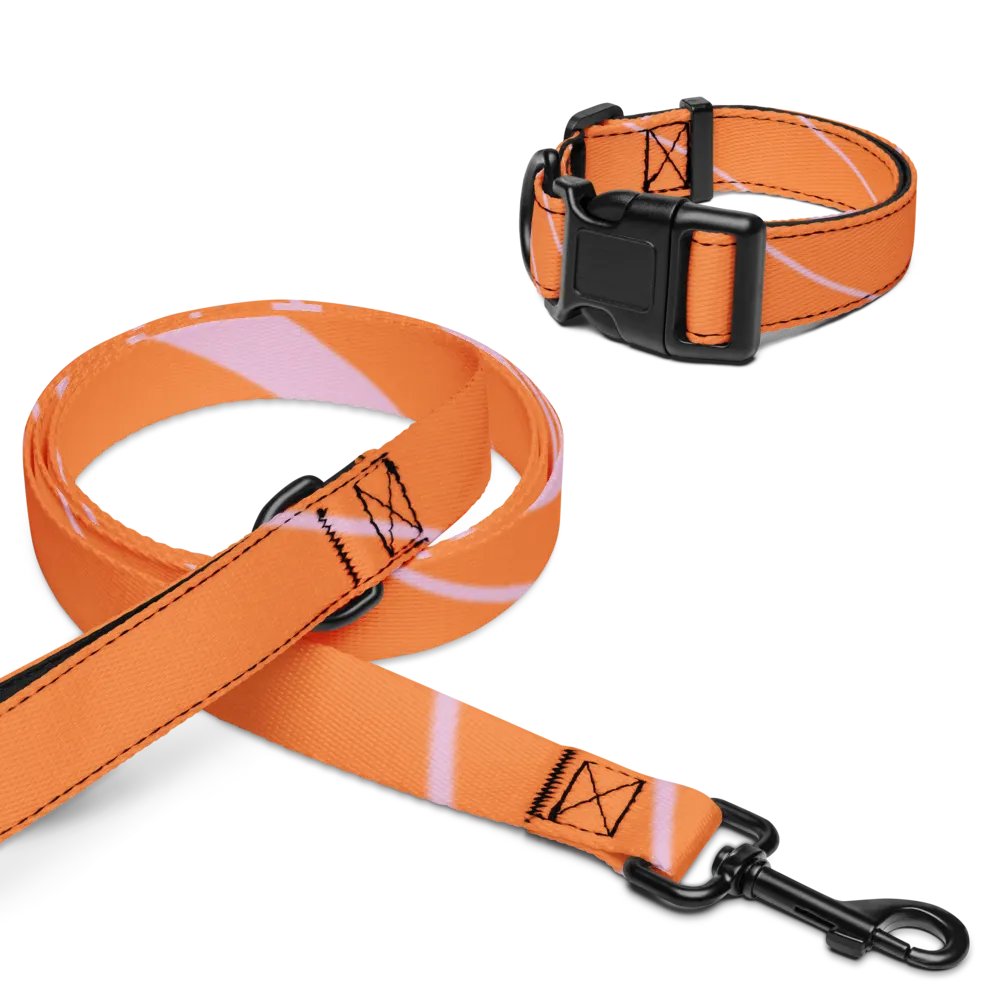 Striped Pet Collar & Leash Set product image (16)