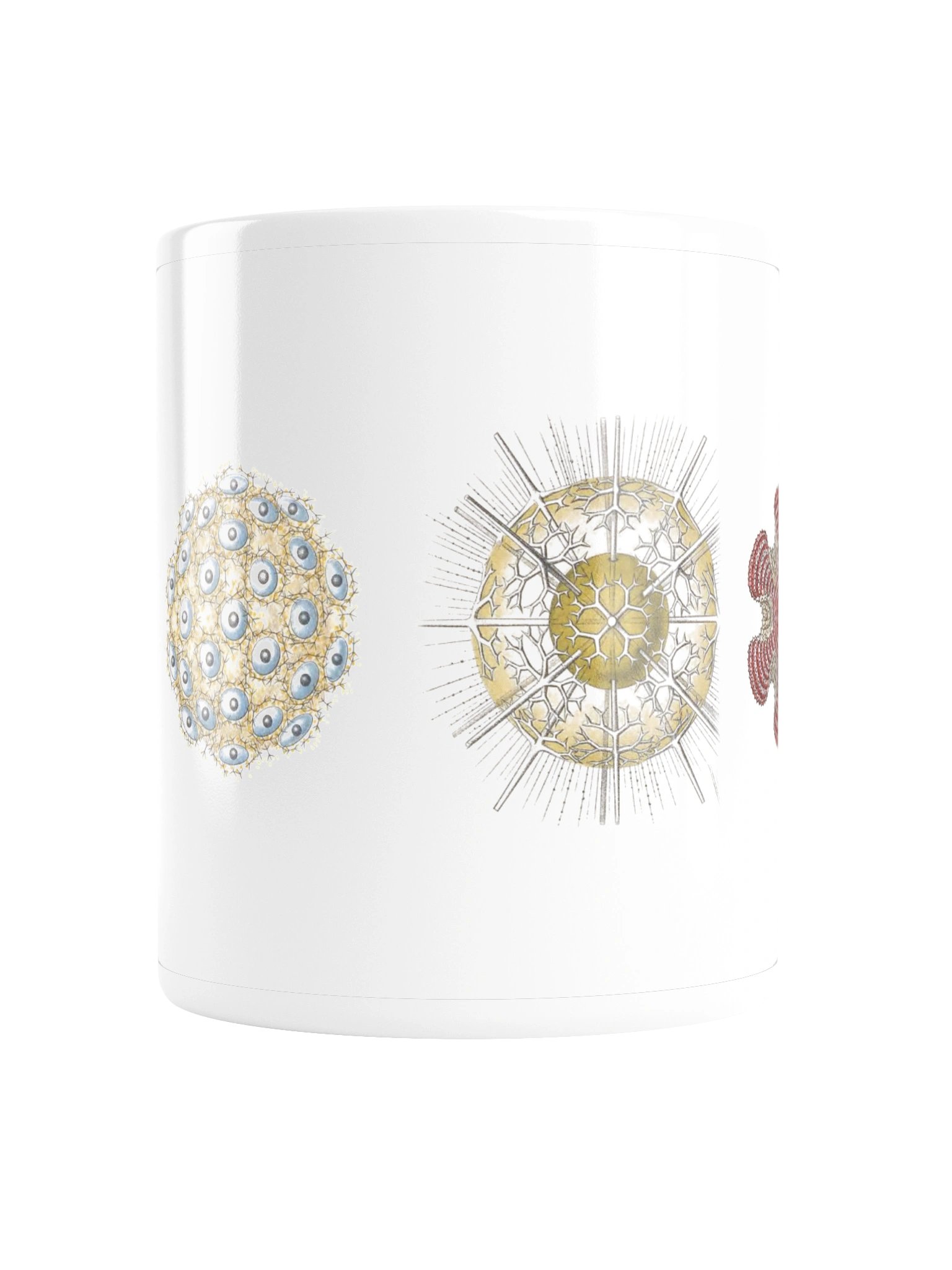 Radiolarians – Haeckel Mug product image (2)