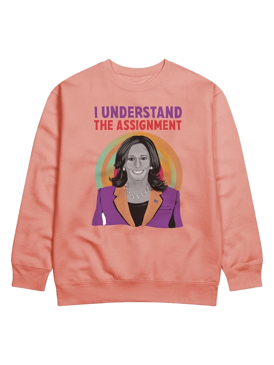 I Understand the Assignment Kamala Harris 2024 Election Day Sweatshirt product image (1)