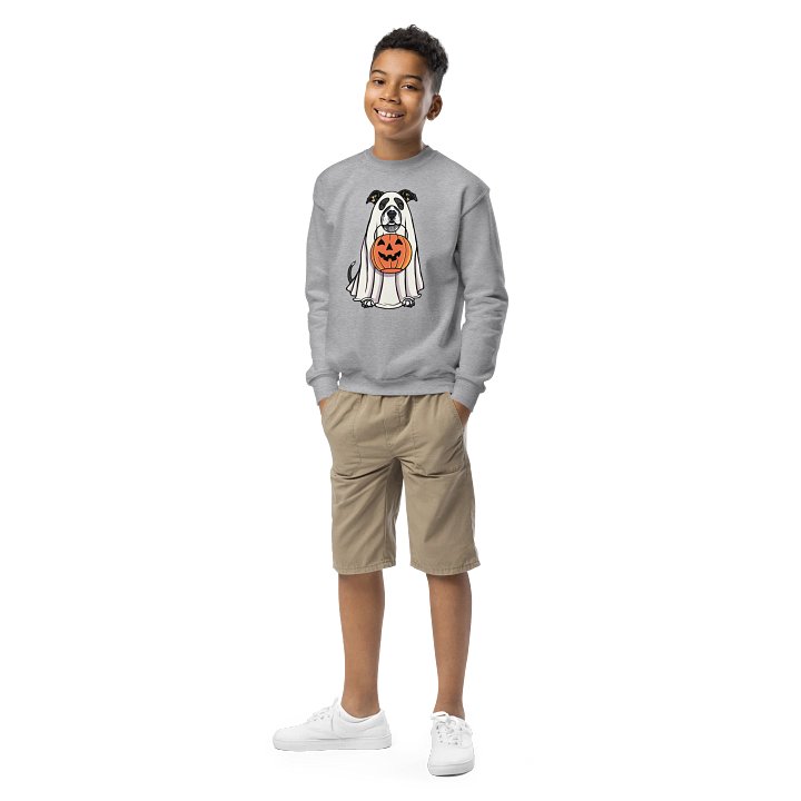 Halloween Pitbull Terrier(Black & White) Youth Sweatshirt product image (2)