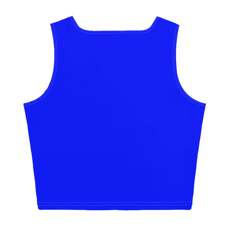 AFW Blue Crop Top product image (2)