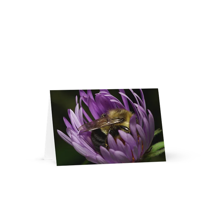 "Flower Power Nap" (Blank Card) product image (1)