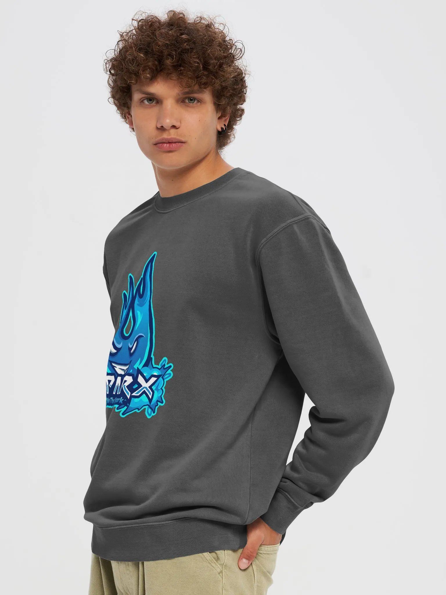 Pullover Sweatshirt product image (19)