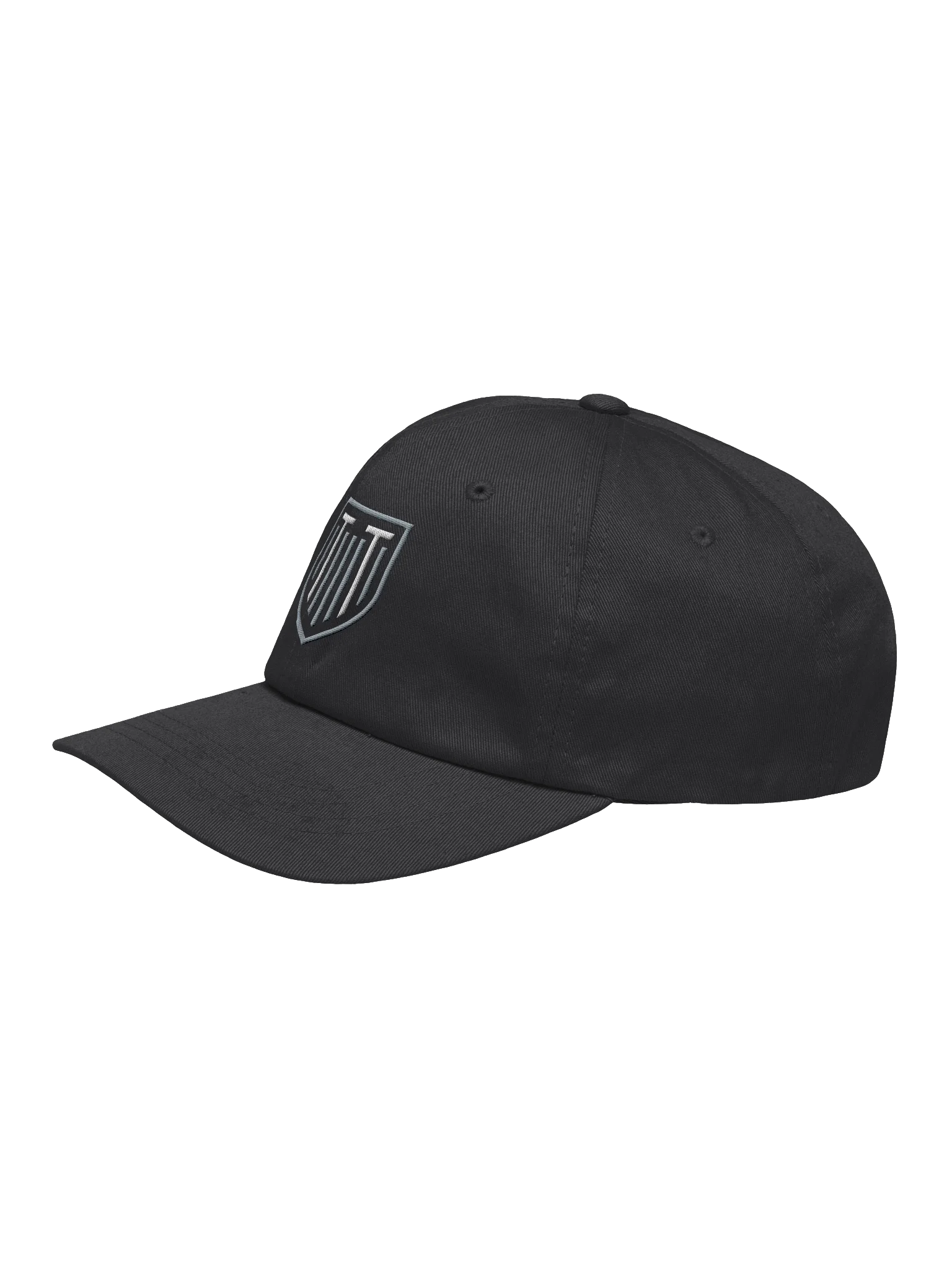 TT HAT product image (2)