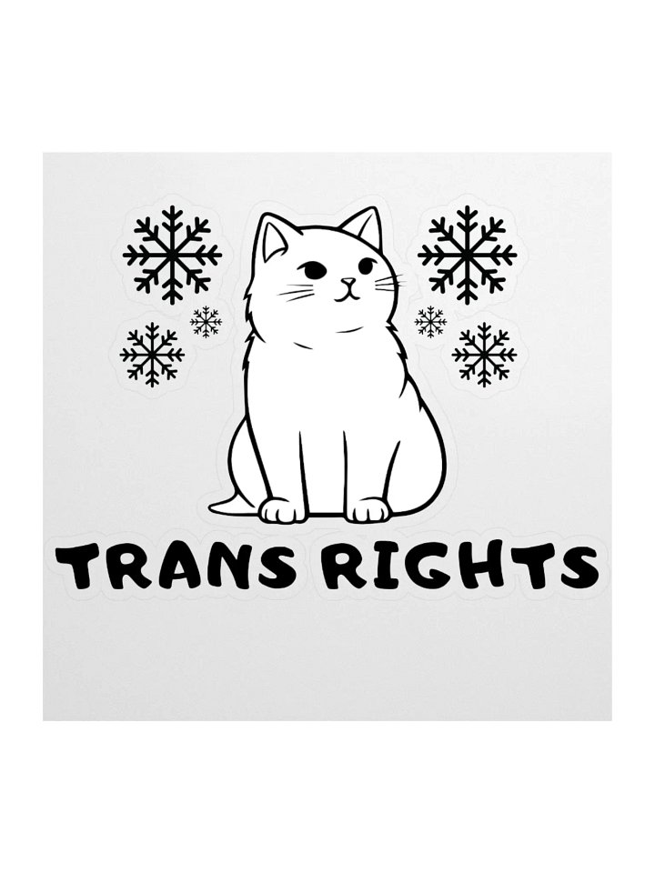 Trans Rights Cat Sticker With Snowflakes product image (1)