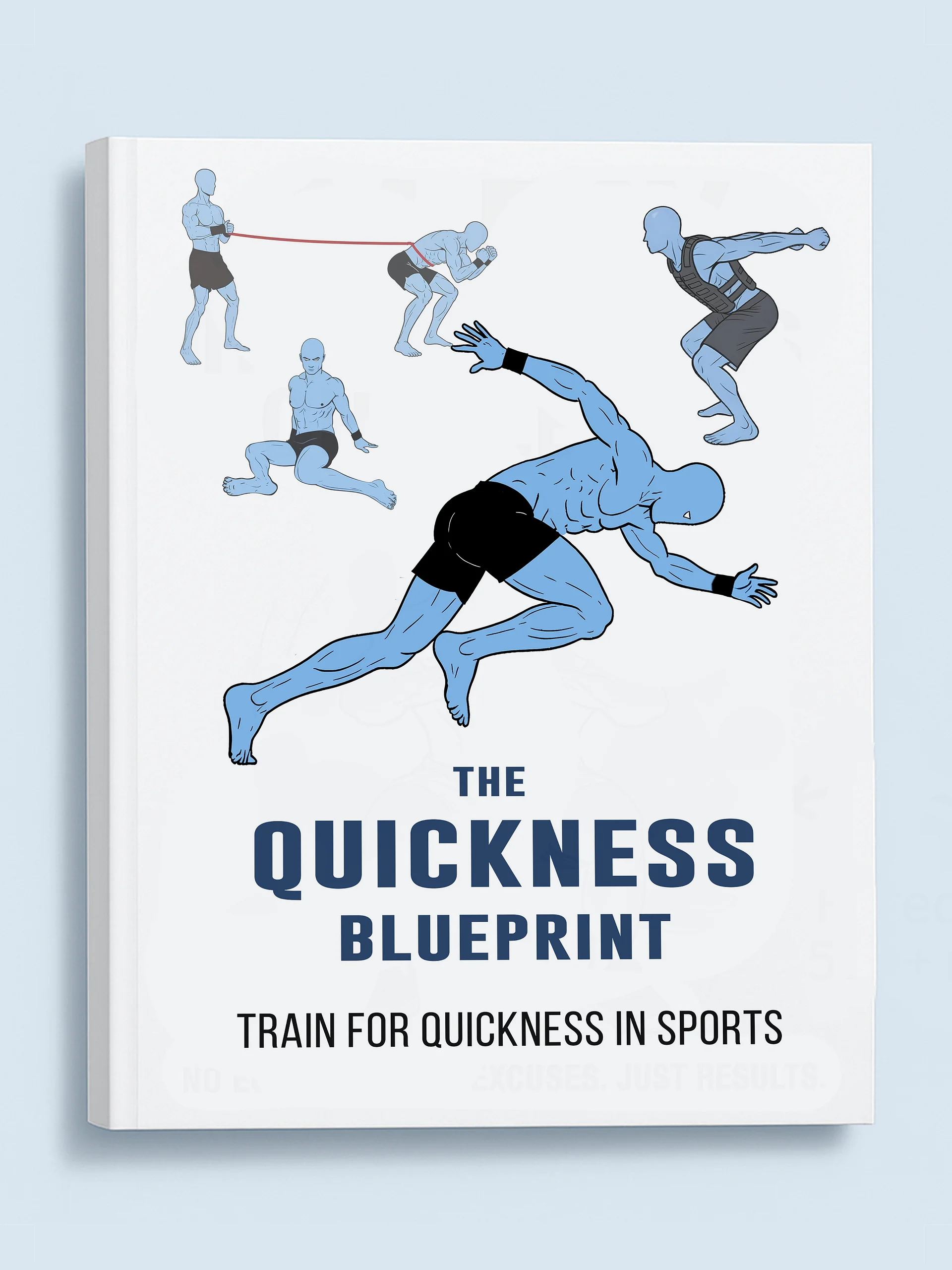The quickness blueprint product image (1)