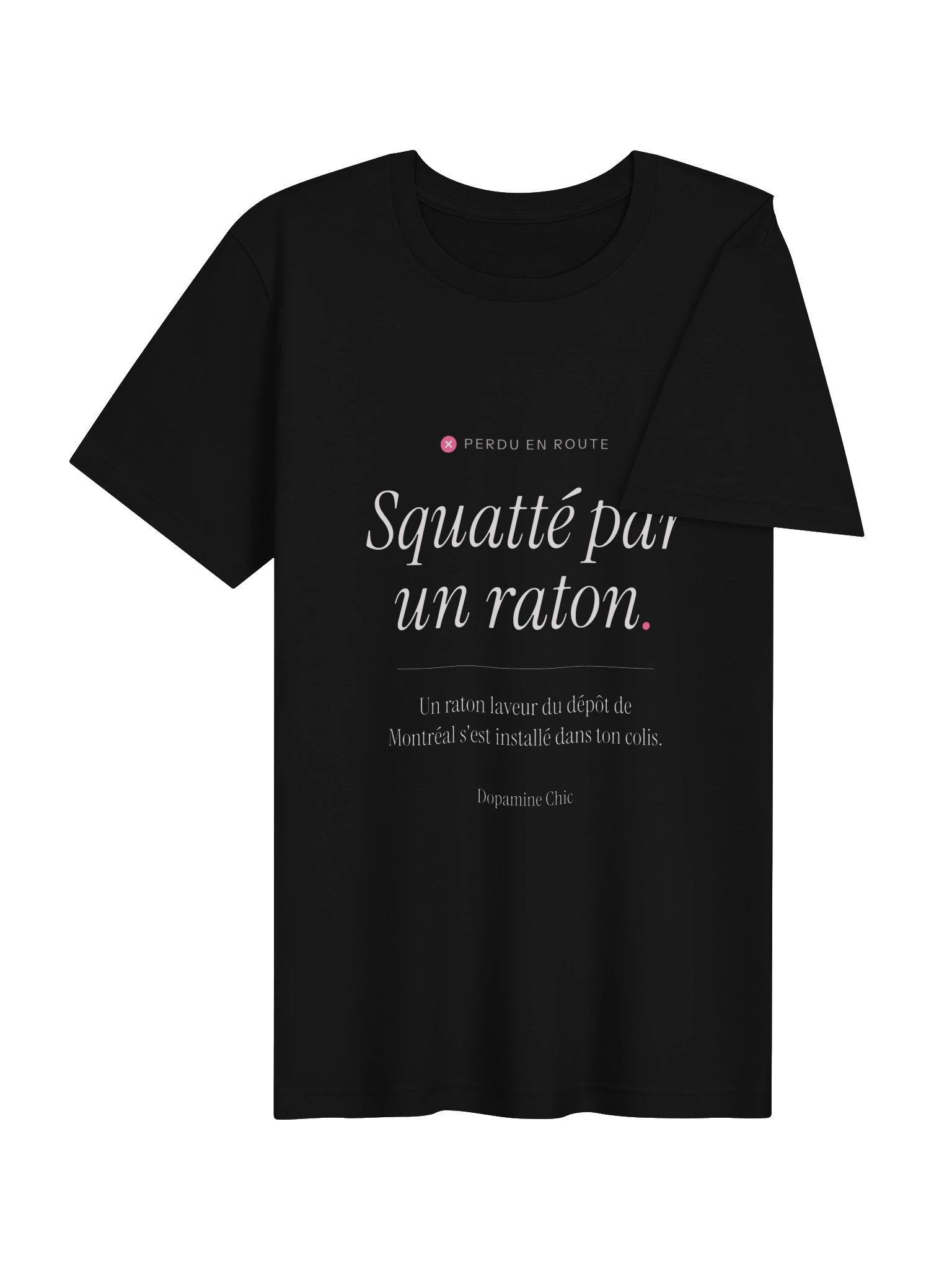 Squatté par un raton product image (4)