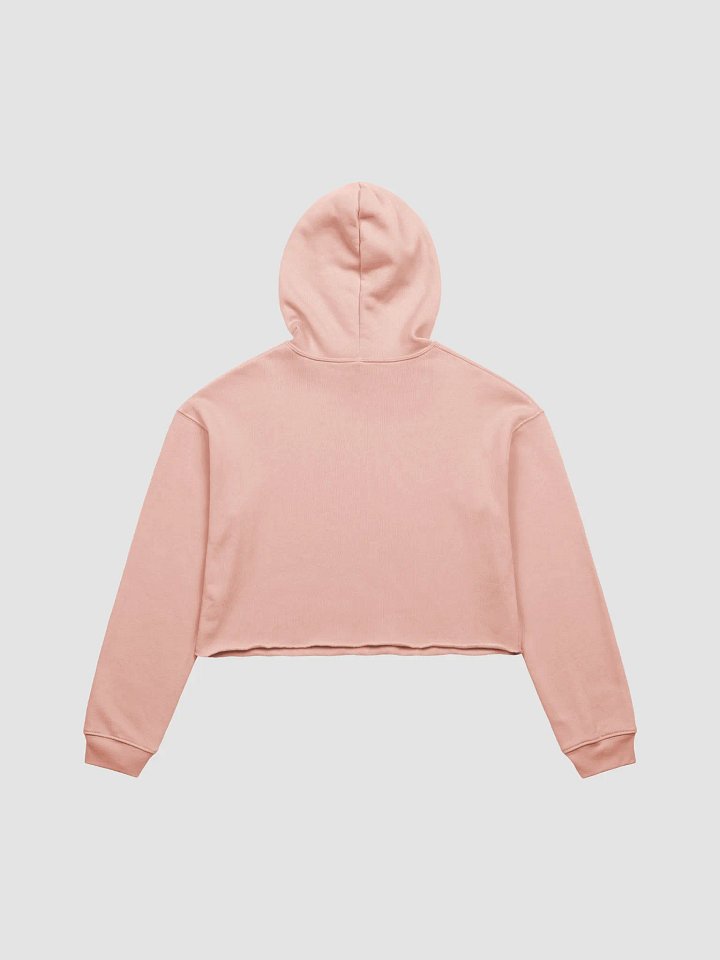 Haven Texas Crop Hoodie product image (2)