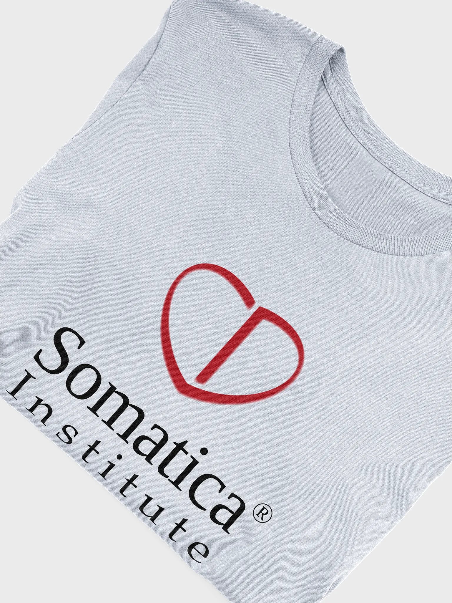 Somatica Institute T-Shirt product image (3)