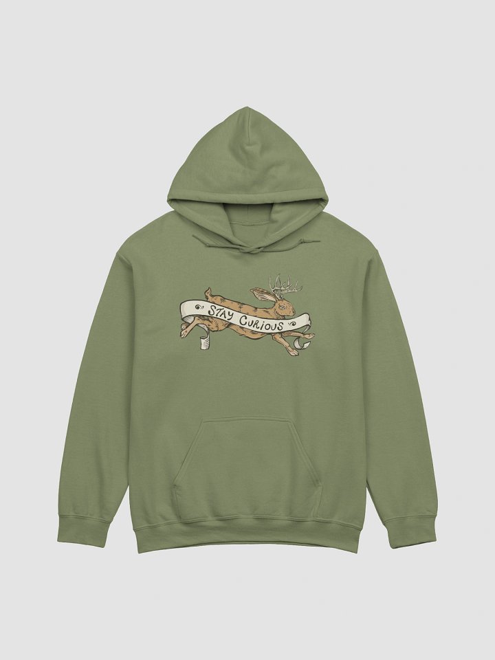 Stay Curious HOODIE product image (1)