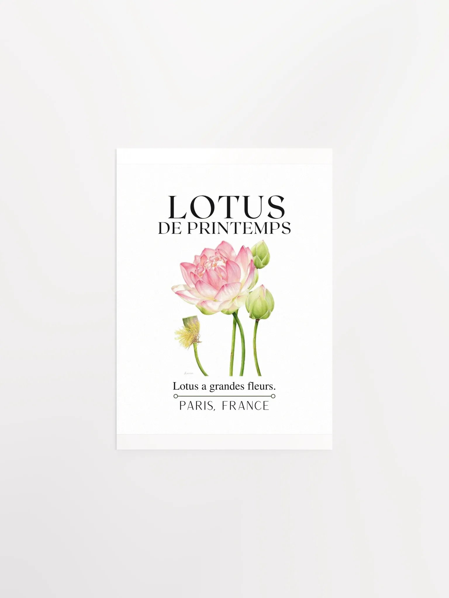 FLORAL PRINT- LOTUS product image (3)