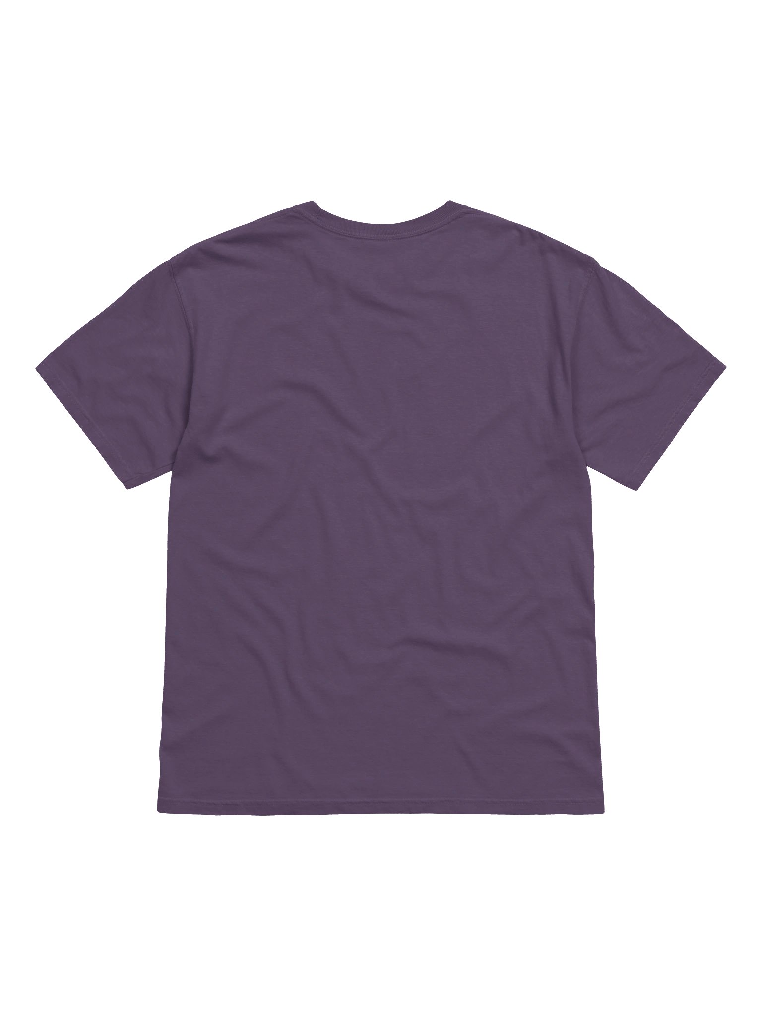 Comfort Colours_The Sound of ANGELS Unisex T-shirt_EQALL® Billog Collection Campaign_Golden / Black product image (2)