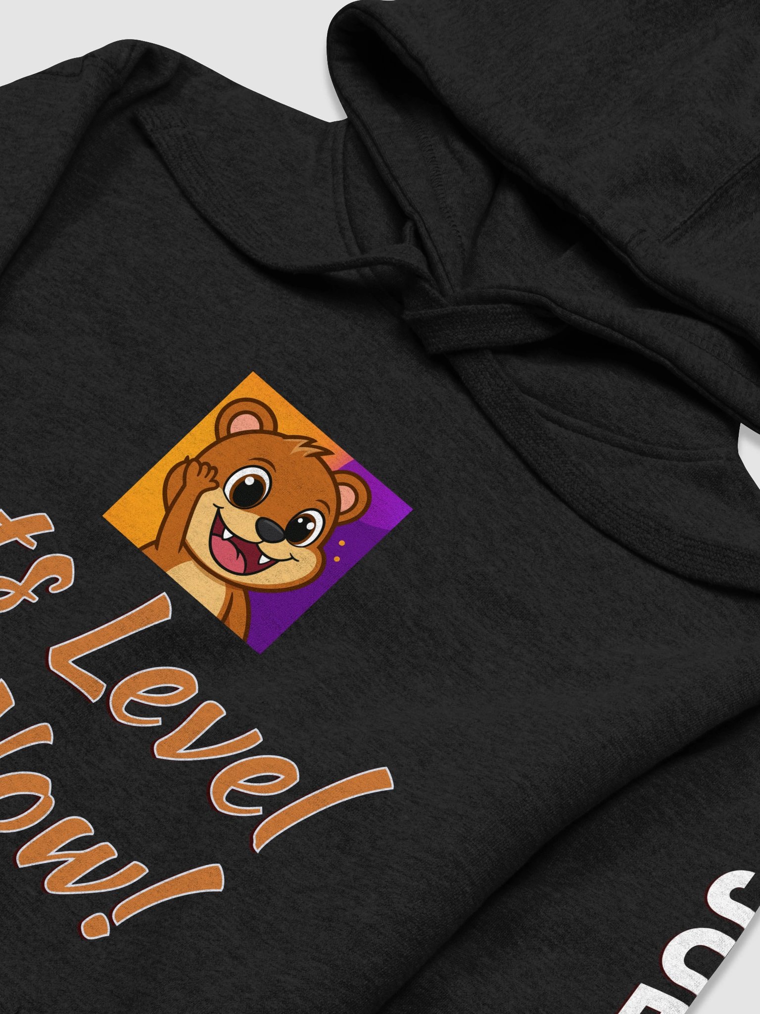 Level Up Now Hoodie product image (3)