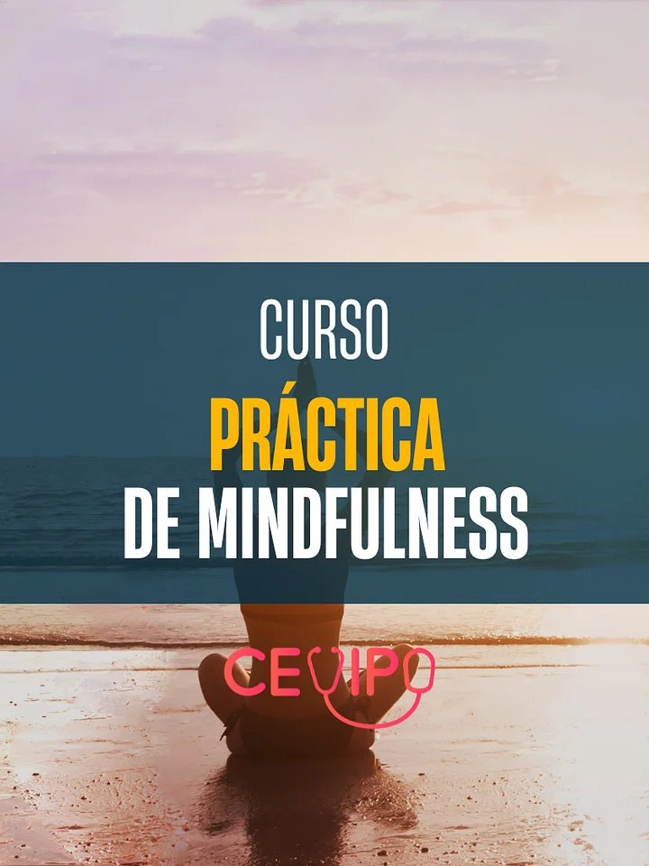 Curso Práctica de Mindfulness product image (1)