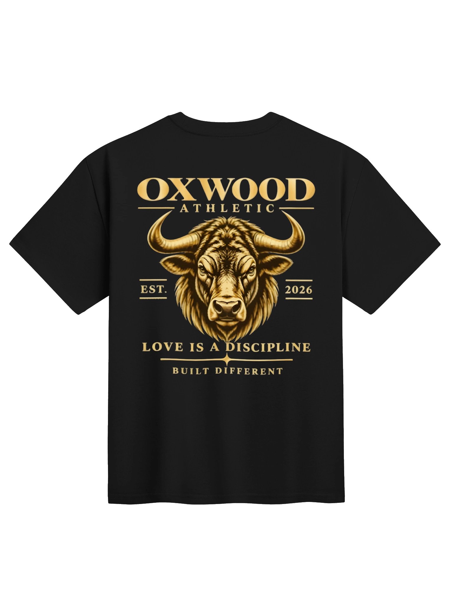 OXWOOD ATHLETIC BUILT DIFFERENT HEAVYWEIGHT TEE product image (4)