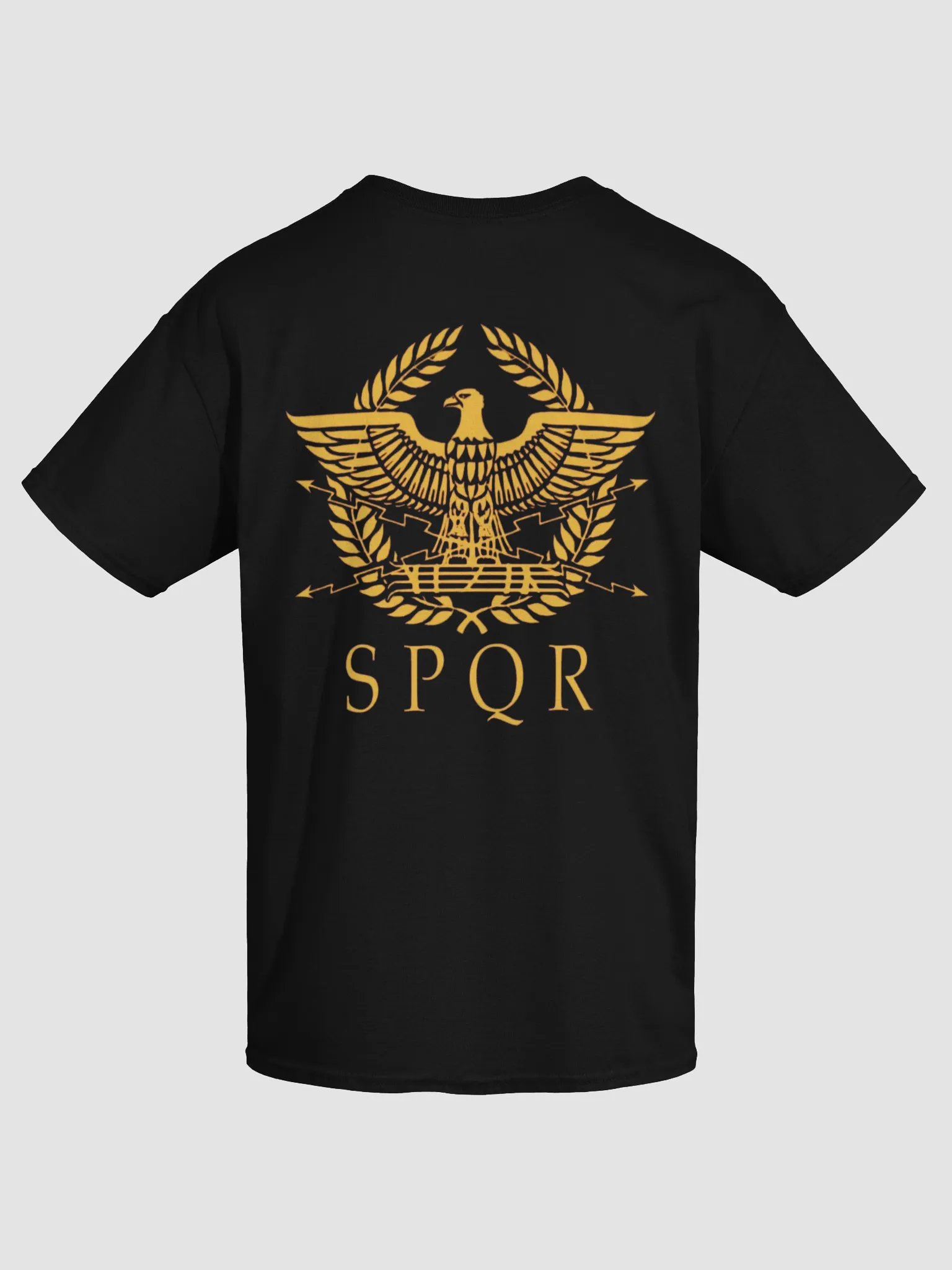 Rome Reborn product image (4)