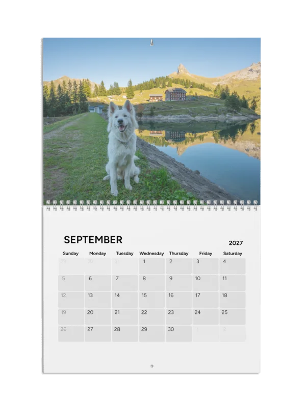 Lil Rasta Calendar 2027 product image (4)