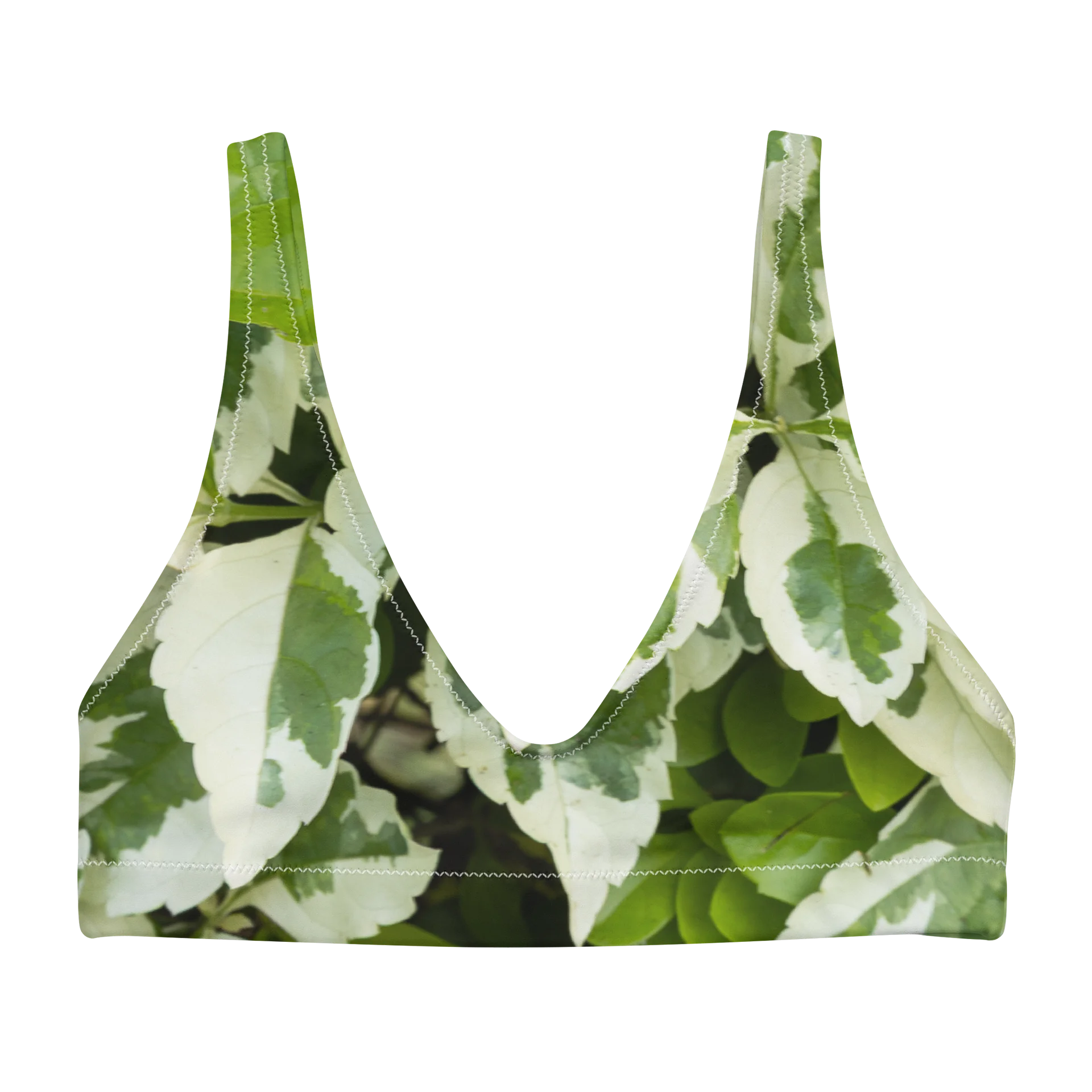 Moss & Parch All-Over Print Recycled Padded Bikini Top product image (1)