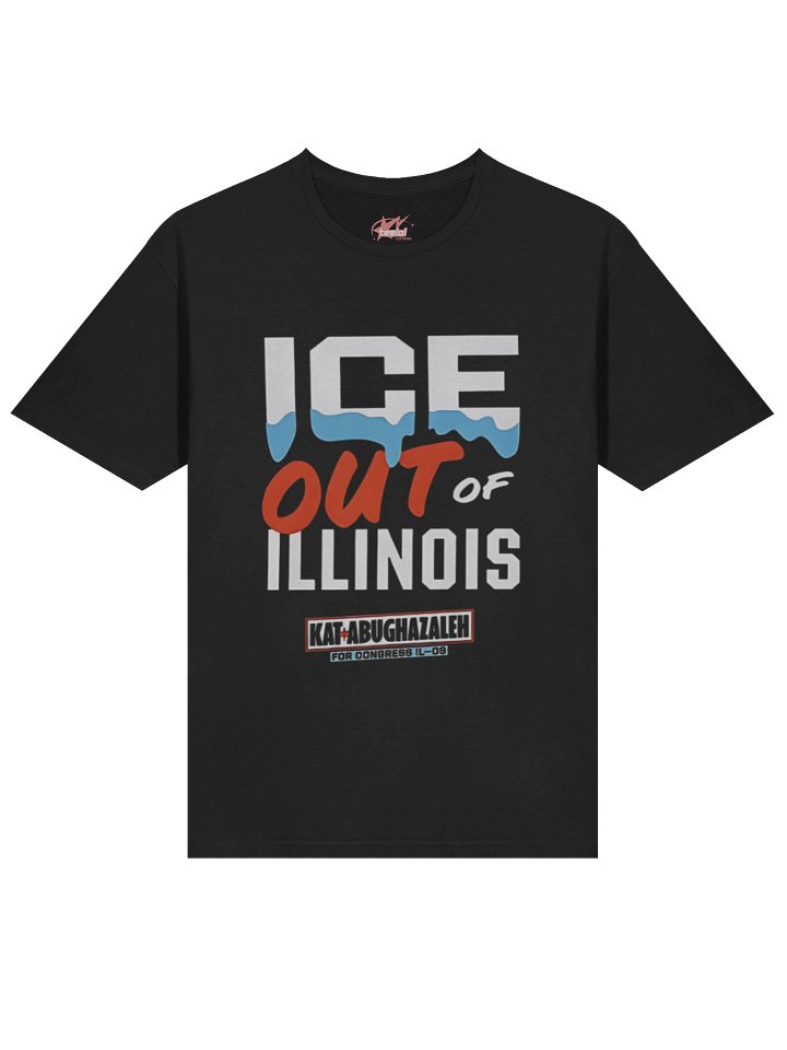 Ice Out Of Illinois Kat Abughazaleh Shirt product image (2)