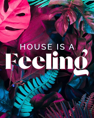 Ready to get HiAF on house music? 

What’s your fave track? 👇