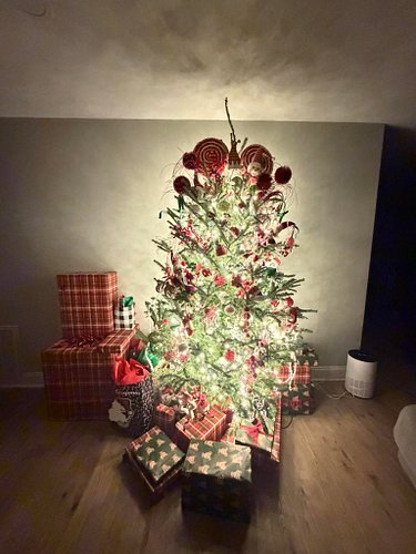 All the presents are under the tree, Blair and I haven’t had a tree up in almost 3 years!