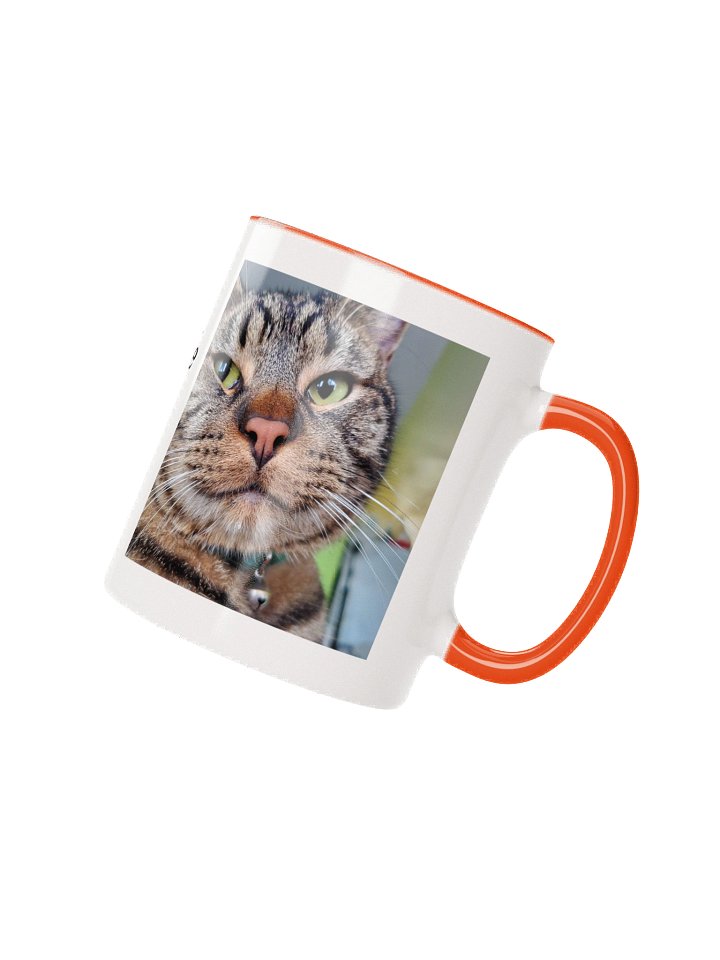 Gar Purr-colating Ceramic 11oz Mug 1 product image (21)