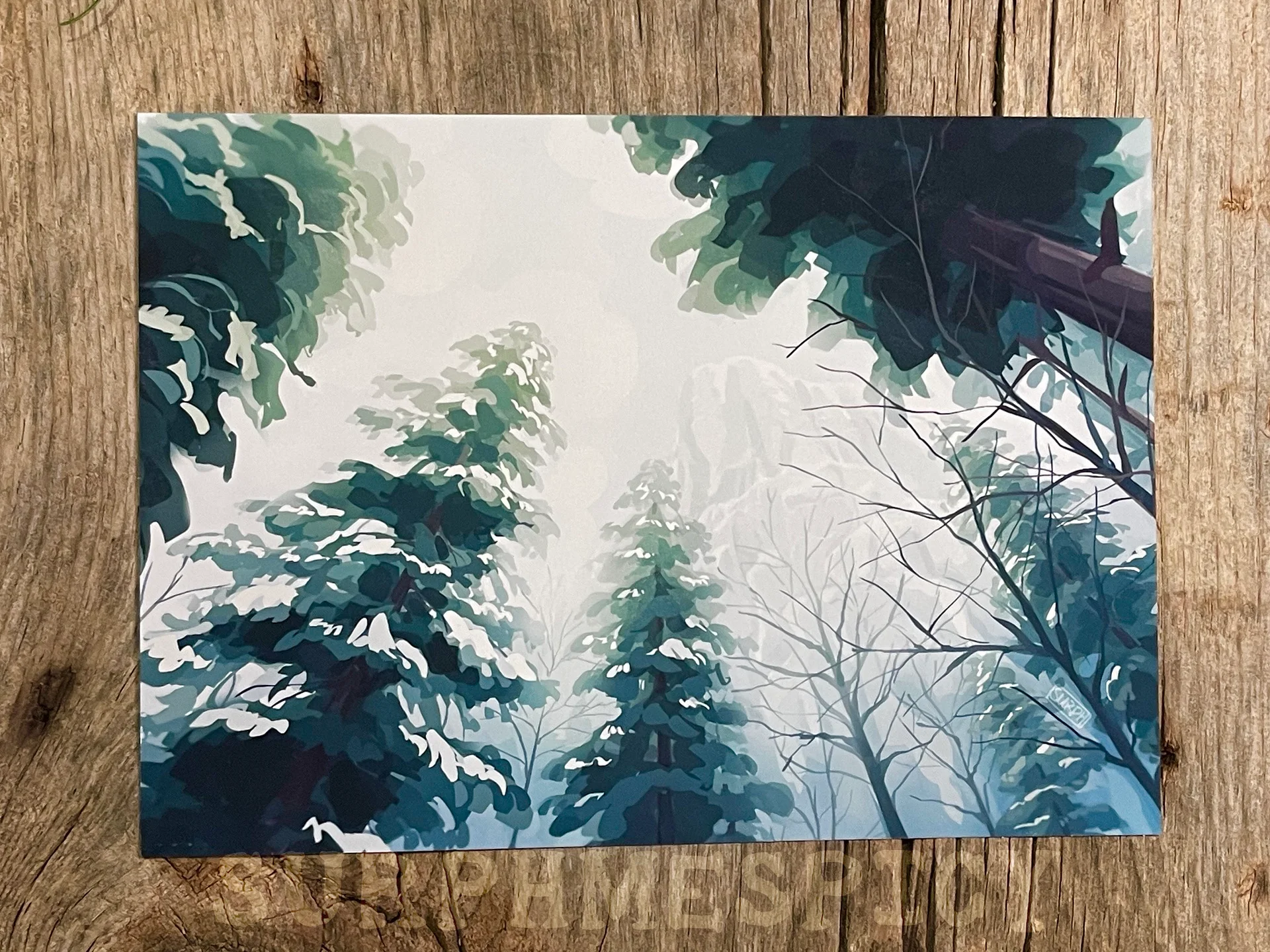 Snowy Treetops - 5x7 Print product image (4)