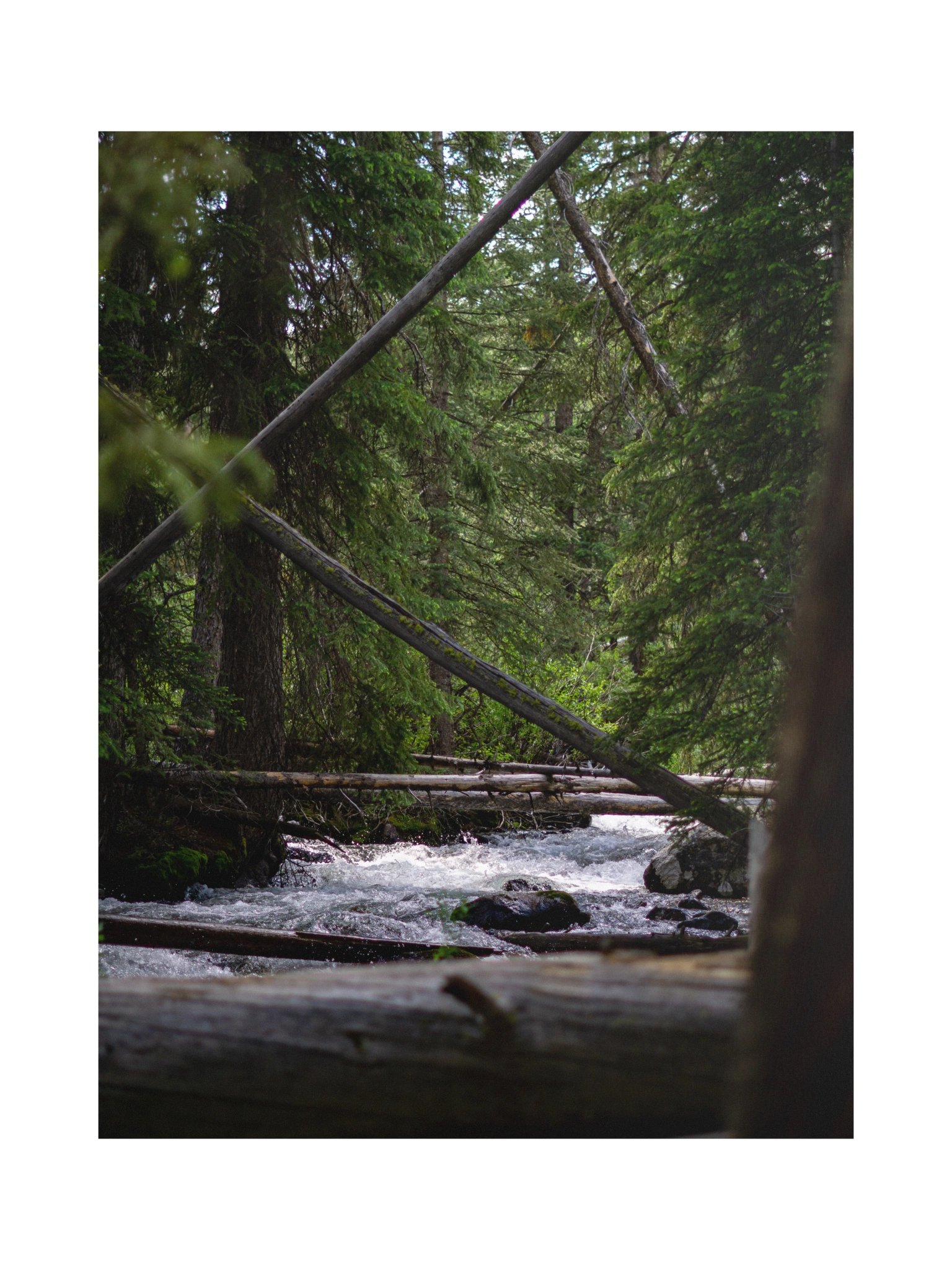 Sawtooth Stream (POSTER) product image (1)