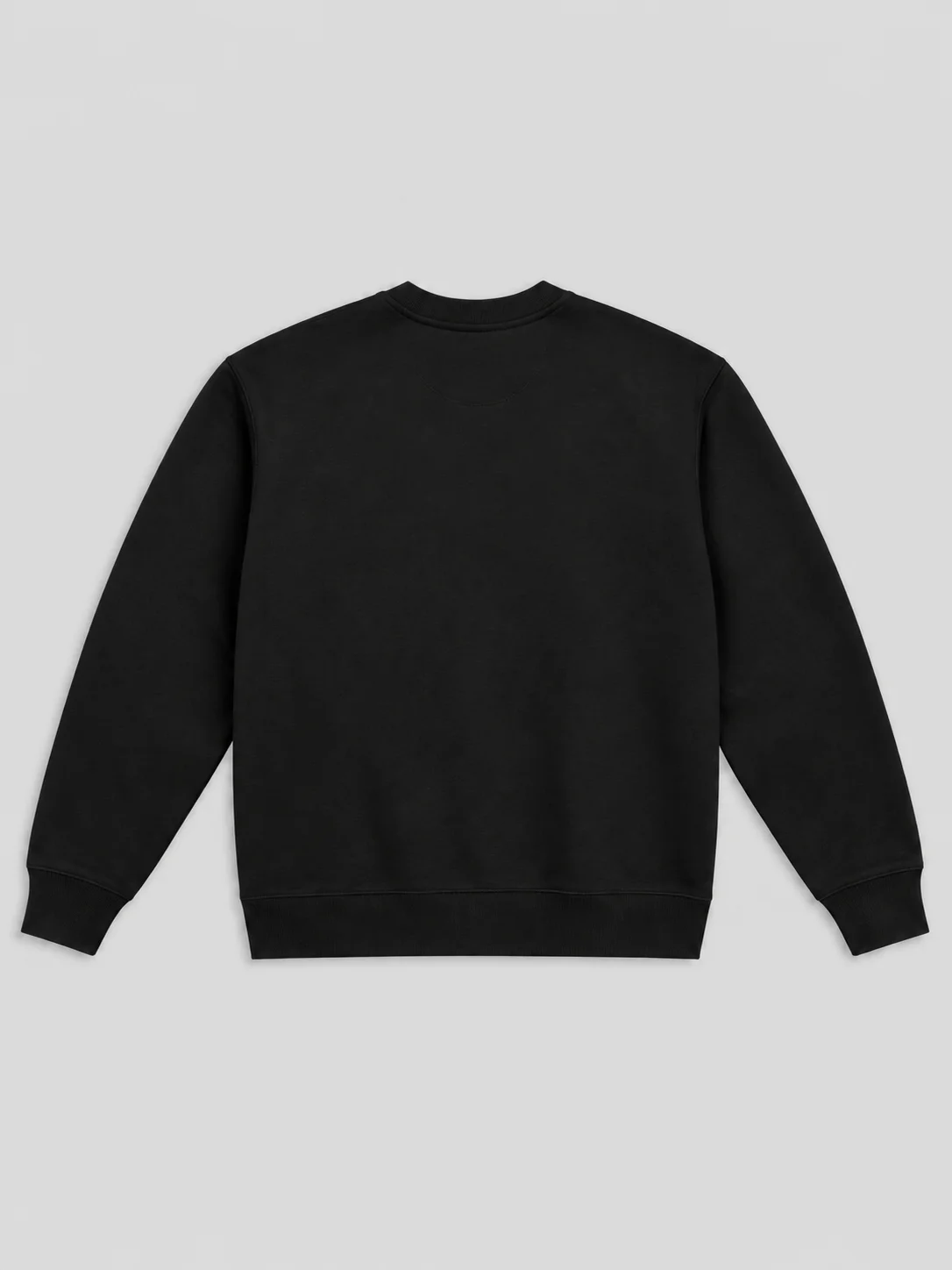 The Core Newperfil Crewneck product image (3)