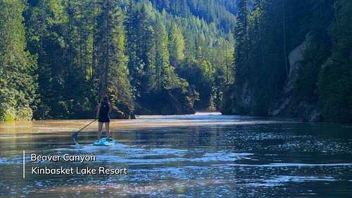 Our paddle up the Beaver River from Kinbasket Lake turned into one of the quietest, coolest little discoveries of the trip. W...