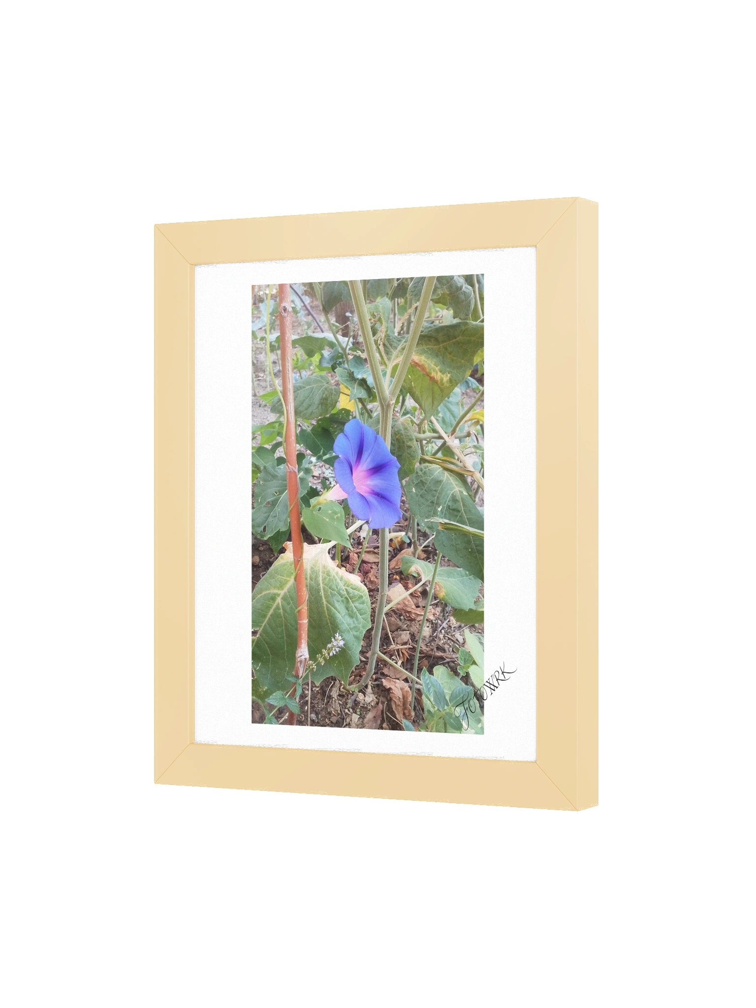 Glory - Fine Art Botanical Matte Poster product image (19)