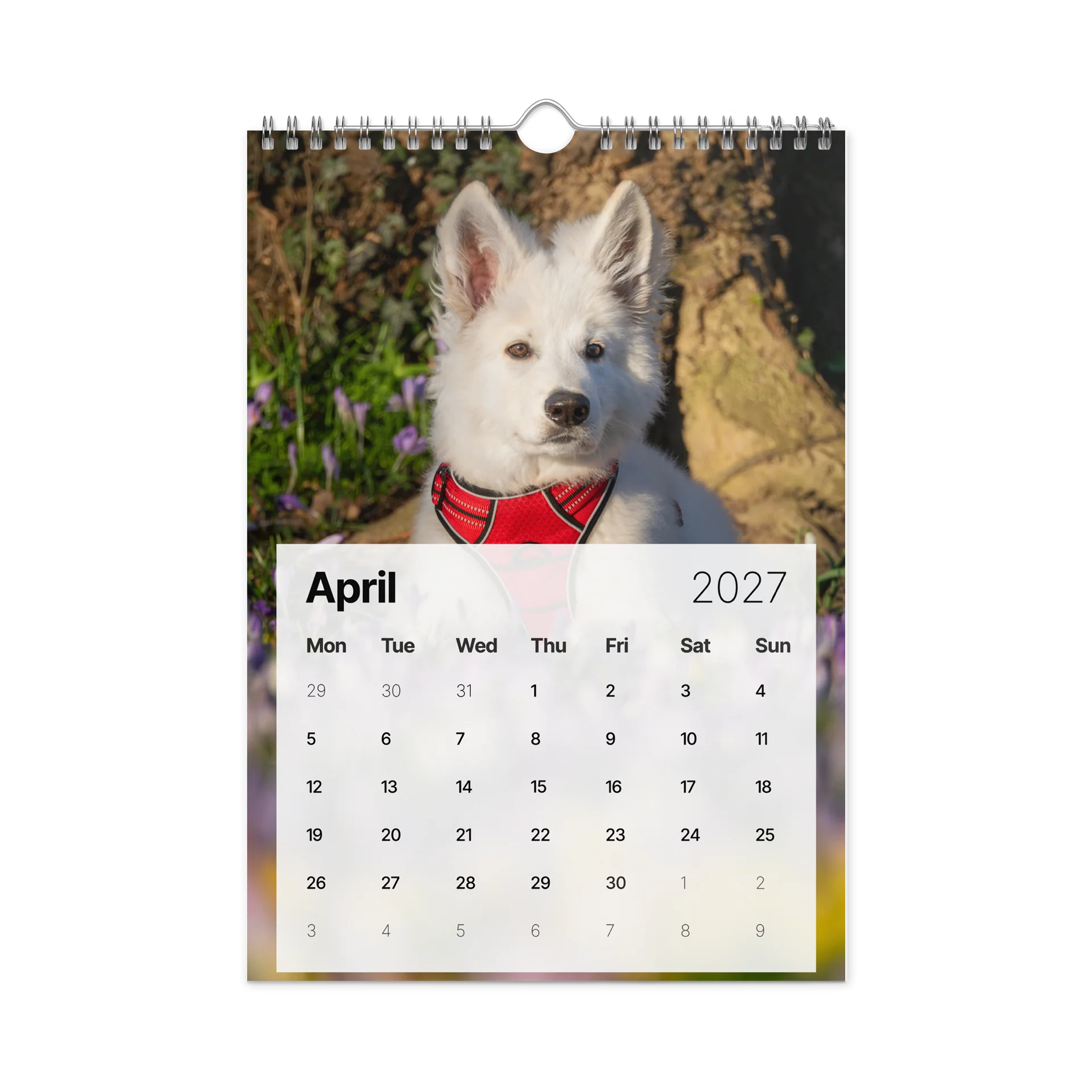 Lil Rasta Calendar 2027 product image (2)