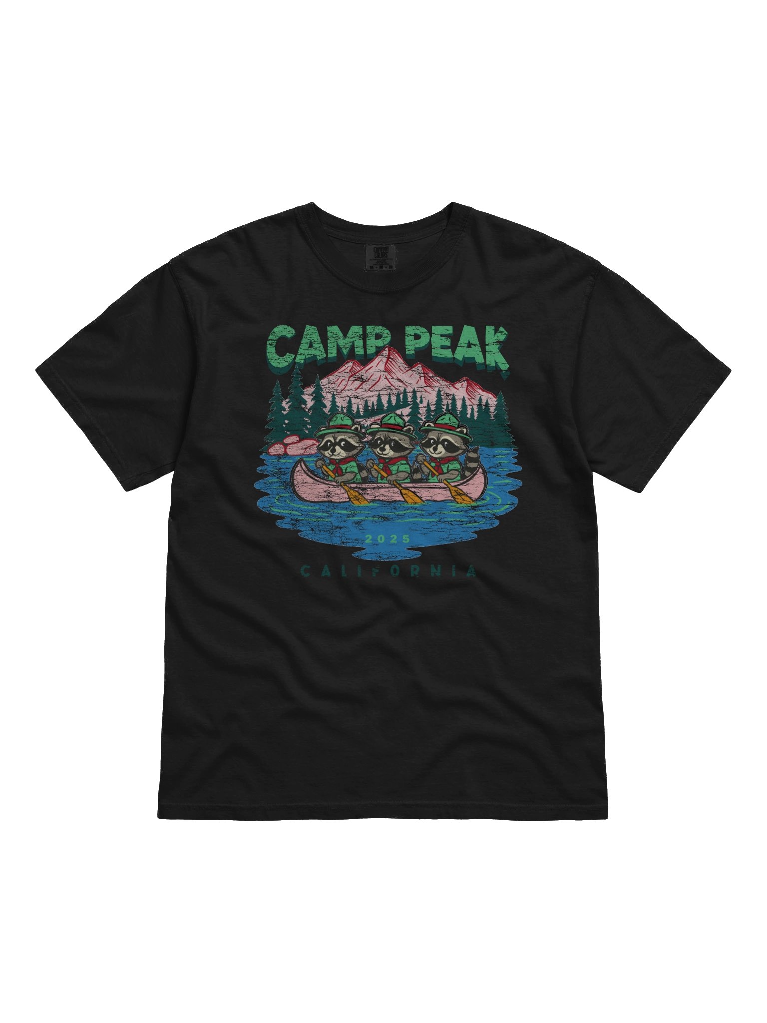 Raccoons on Canoes product image (1)